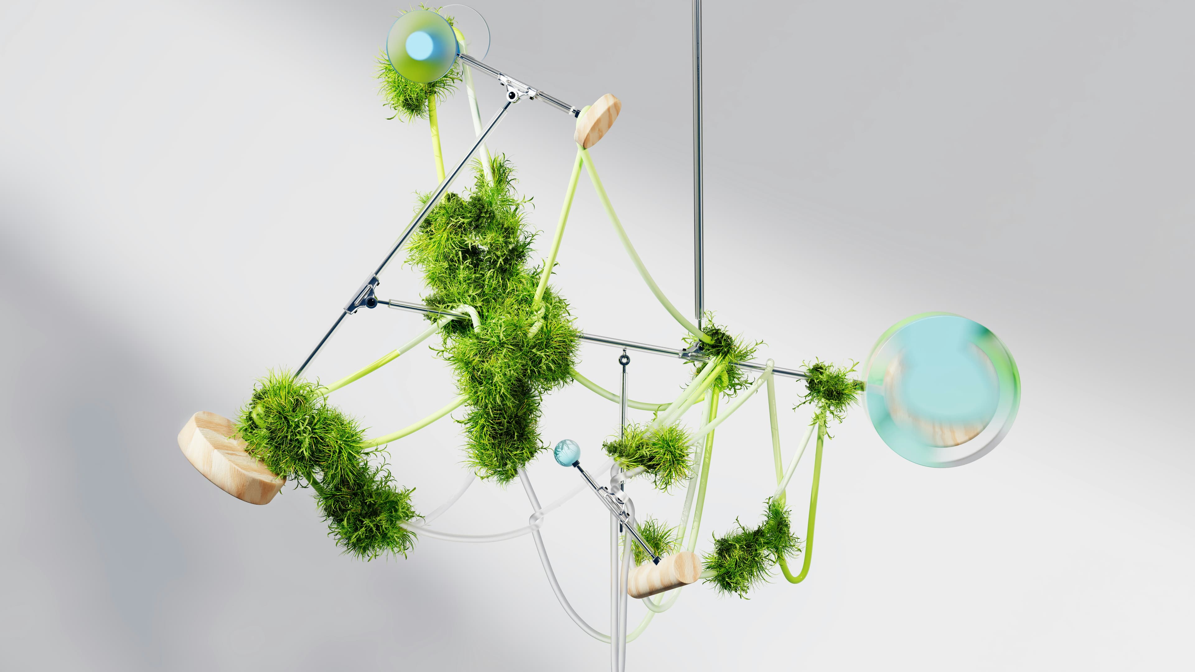 Mossy Connections