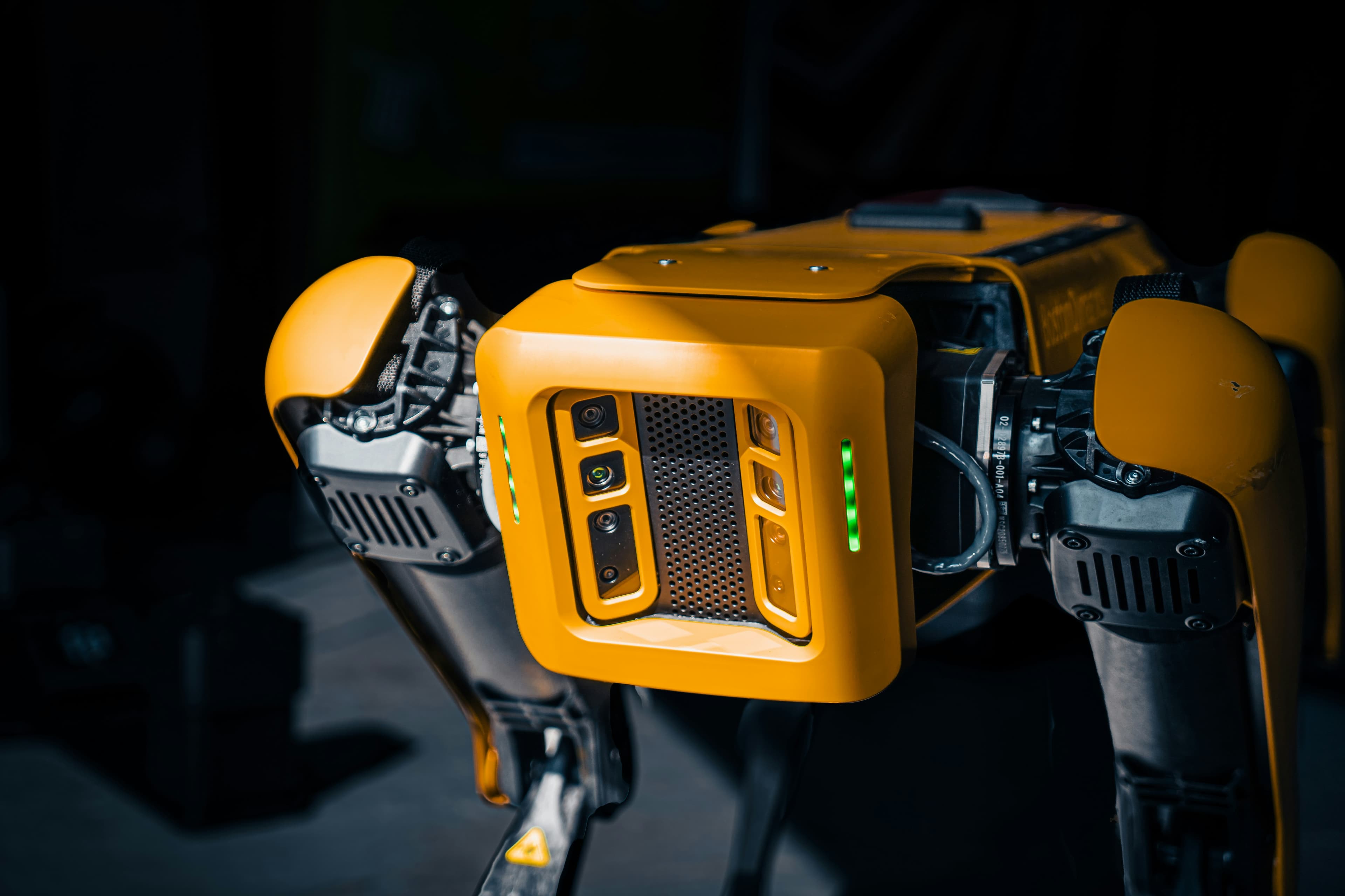 Spot, the robot dog